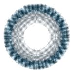 【メイリーネイビー】VILLEGE 1day ヴィレジェ ワンデー 1箱10枚入り［双葉貿易］ 画像3